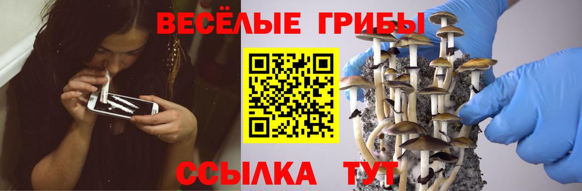 Аргун  купить  цена  Вход с VPN  Галлюциногенные грибы Cubensis  Псилоцибиновые грибы Cubensis 